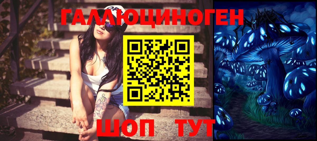 купить наркоту  Галлюциногенные грибы MAGIC MUSHROOMS  Вход с VPN  Красноперекопск 