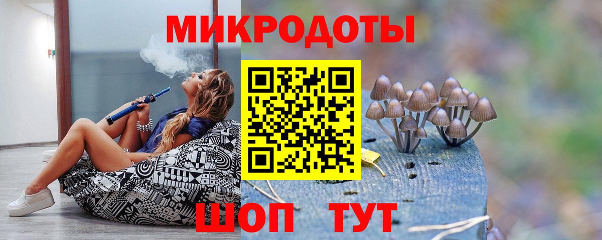 Галлюциногенные грибы Psilocybe Красноперекопск